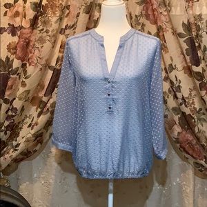 Sz L, THE LIMITED Sheer Top/Blouse
